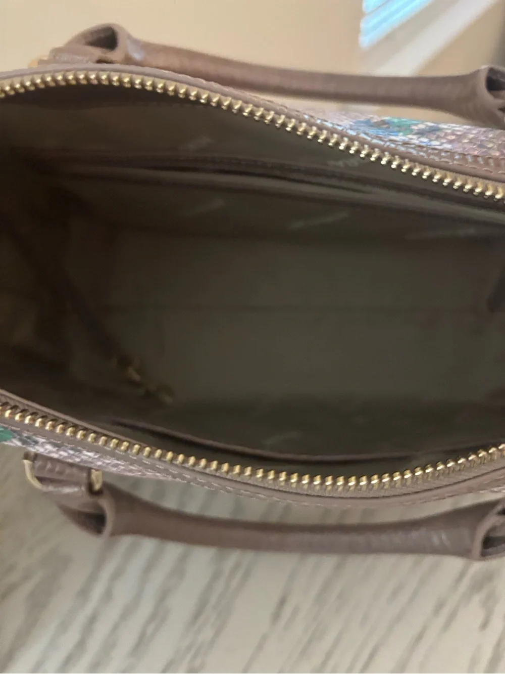 Brahmin satchel snake